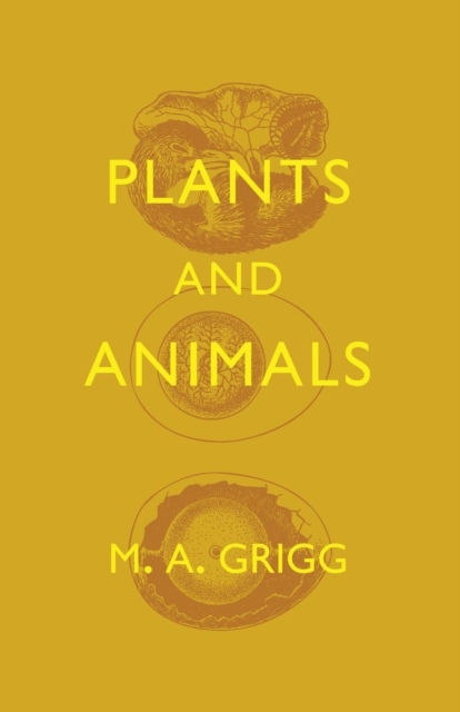 Plants and Animals, Paperback / softback Book