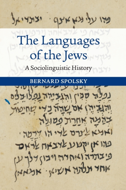 The Languages of the Jews : A Sociolinguistic History, Paperback / softback Book