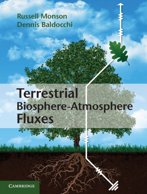Terrestrial Biosphere-Atmosphere Fluxes, EPUB eBook