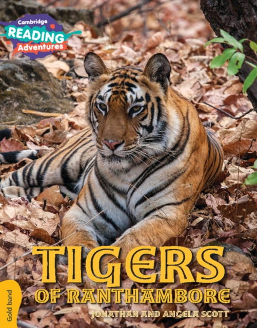 Cambridge Reading Adventures Tigers of Ranthambore Gold Band, Paperback / softback Book