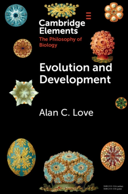 Evolution and Development : Conceptual Issues, Paperback / softback Book