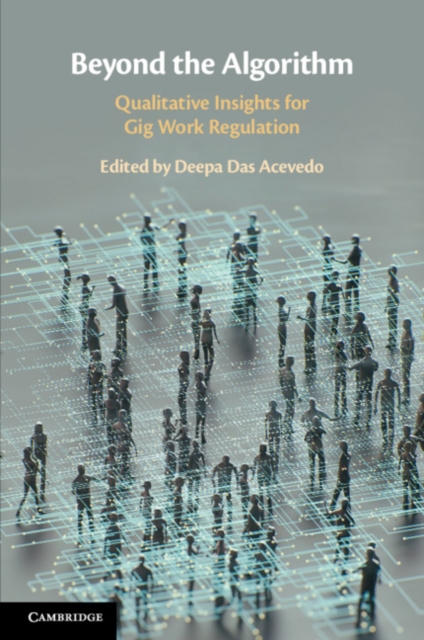 Beyond the Algorithm : Qualitative Insights for Gig Work Regulation, Paperback / softback Book