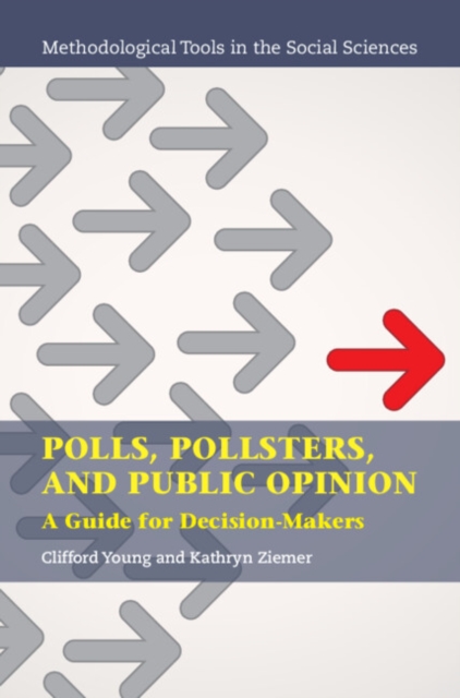 Polls, Pollsters, and Public Opinion : A Guide for Decision-Makers, Paperback / softback Book