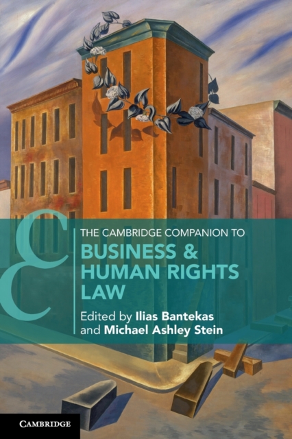 The Cambridge Companion to Business and Human Rights Law, Paperback / softback Book