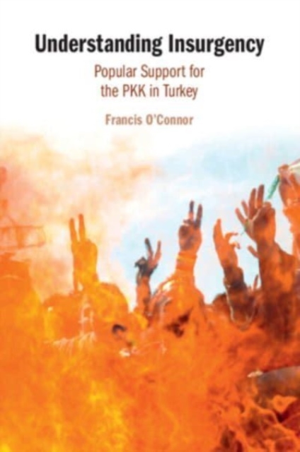 Understanding Insurgency : Popular Support for the PKK in Turkey, Paperback / softback Book