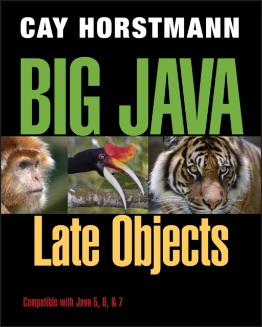 Big Java : Late Objects, Paperback / softback Book