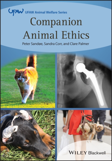 Companion Animal Ethics, Paperback / softback Book