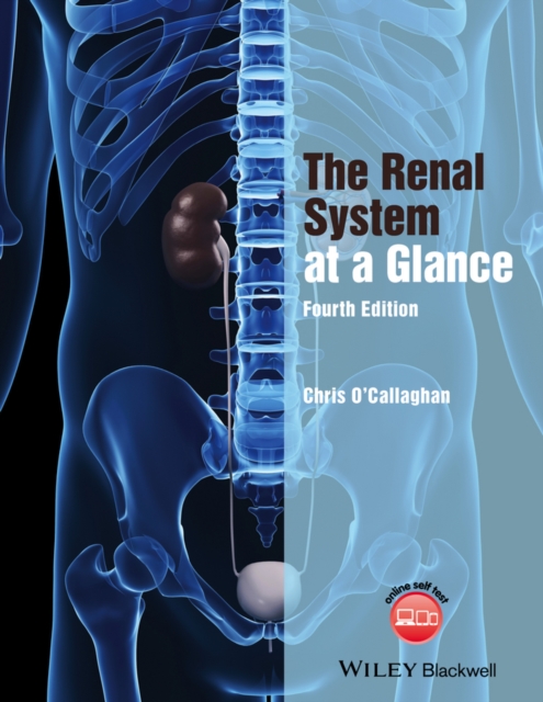 The Renal System at a Glance, Paperback / softback Book