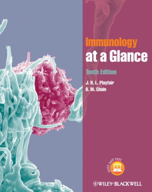 Immunology at a Glance, EPUB eBook