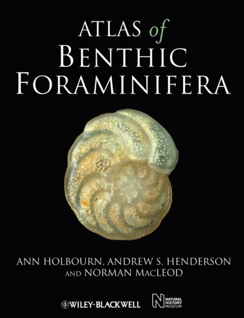 Atlas of Benthic Foraminifera, PDF eBook