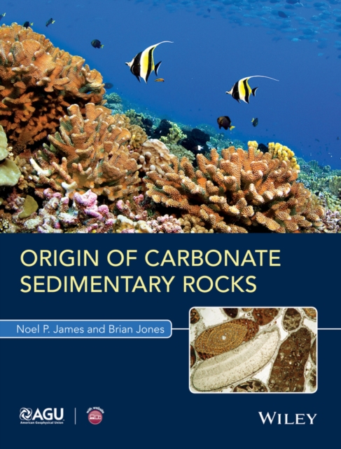 Origin of Carbonate Sedimentary Rocks, EPUB eBook
