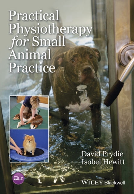 Practical Physiotherapy for Small Animal Practice, Paperback / softback Book