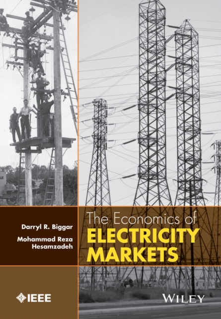 The Economics of Electricity Markets, Hardback Book