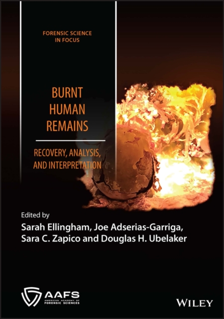Burnt Human Remains : Recovery, Analysis, and Interpretation, Hardback Book