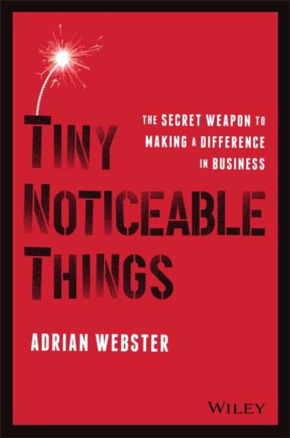 Tiny Noticeable Things : The Secret Weapon to Making a Difference in Business, Paperback / softback Book
