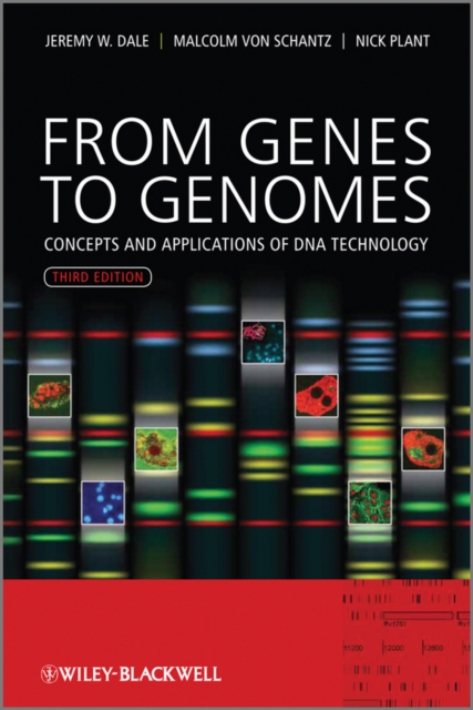From Genes to Genomes : Concepts and Applications of DNA Technology, PDF eBook