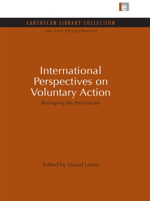 International Perspectives on Voluntary Action : Reshaping the Third Sector, PDF eBook