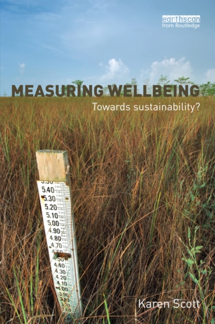 Measuring Wellbeing: Towards Sustainability?, EPUB eBook
