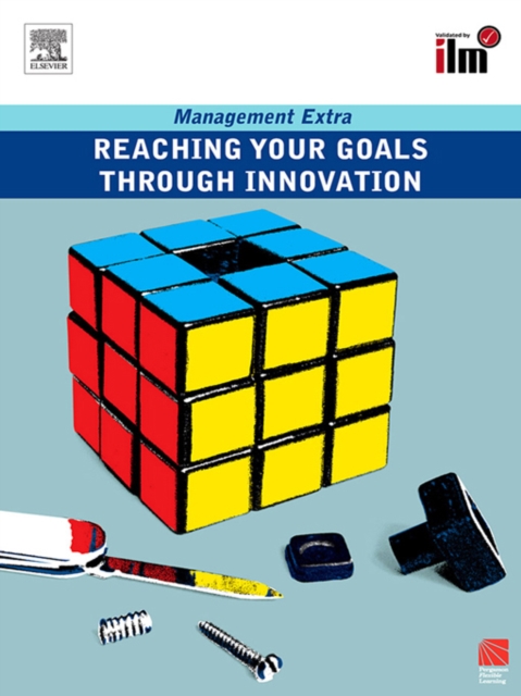 Reaching Your Goals Through Innovation, EPUB eBook