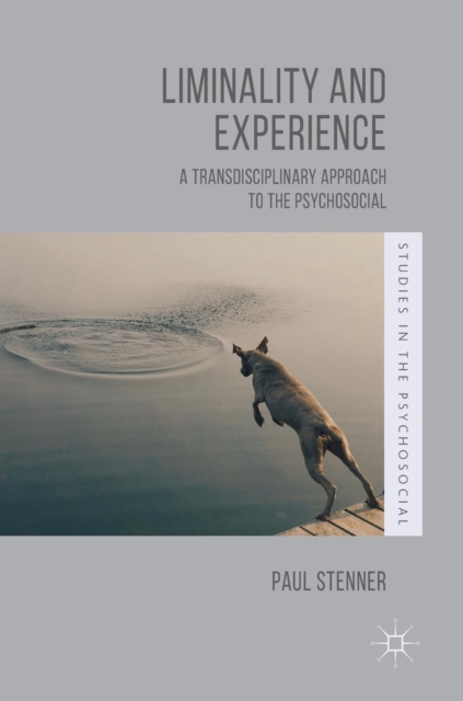 Liminality and Experience : A Transdisciplinary Approach to the Psychosocial, Hardback Book