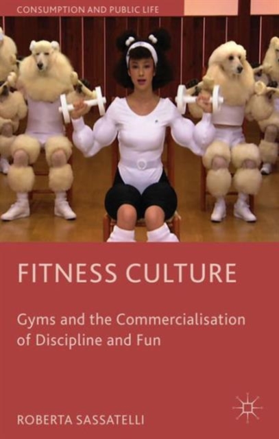 Fitness Culture : Gyms and the Commercialisation of Discipline and Fun, Paperback / softback Book