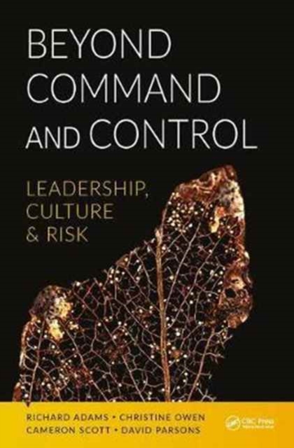 Beyond Command and Control : Leadership, Culture and Risk, Paperback / softback Book