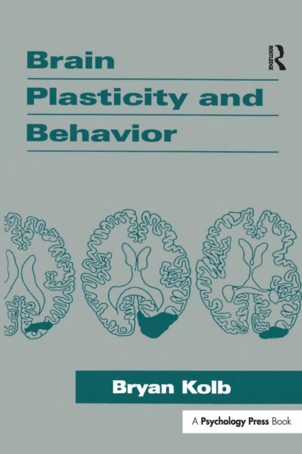Brain Plasticity and Behavior, Paperback / softback Book