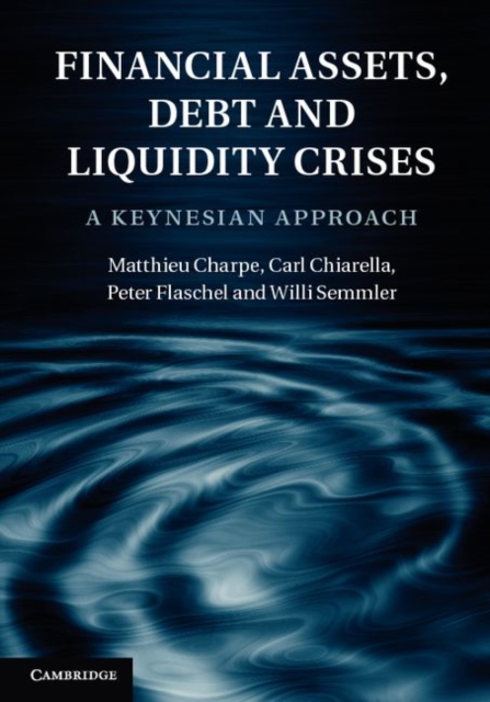 Financial Assets, Debt and Liquidity Crises : A Keynesian Approach, PDF eBook