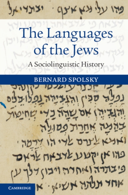 The Languages of the Jews : A Sociolinguistic History, PDF eBook