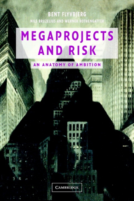 Megaprojects and Risk : An Anatomy of Ambition, EPUB eBook
