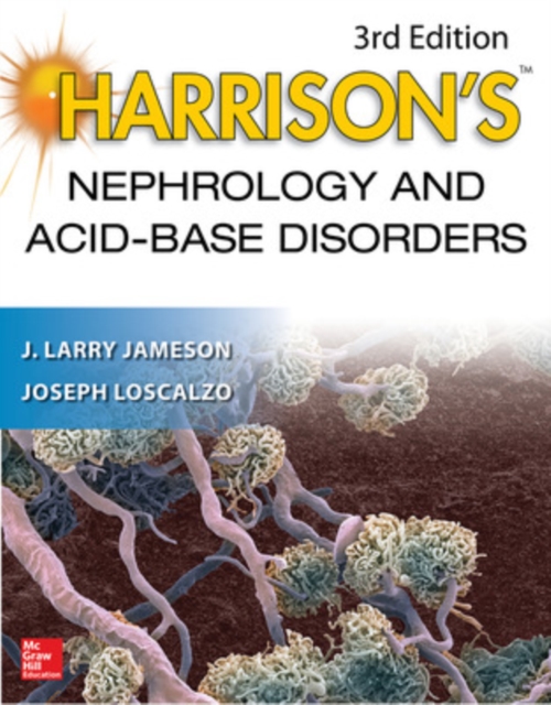 Harrison's Nephrology and Acid-Base Disorders, 3e, Paperback / softback Book