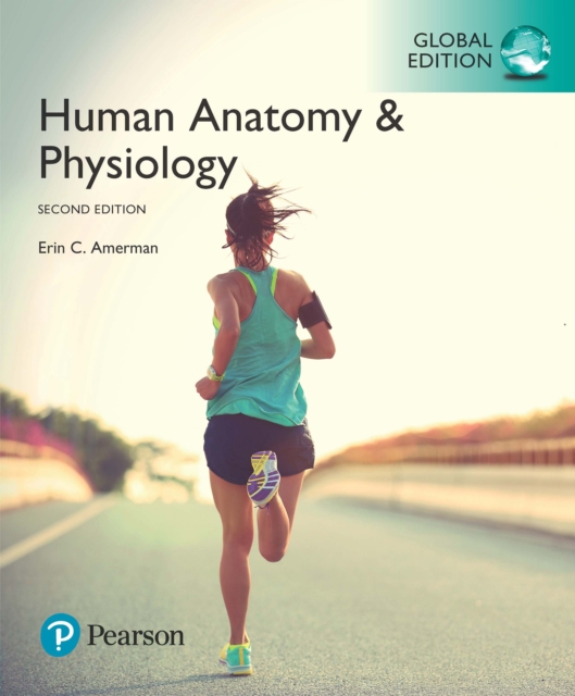 Human Anatomy & Physiology, Global Edition, PDF eBook