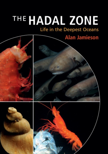 Hadal Zone : Life in the Deepest Oceans, PDF eBook