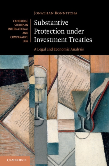 Substantive Protection under Investment Treaties : A Legal and Economic Analysis, PDF eBook