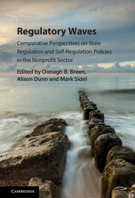Regulatory Waves : Comparative Perspectives on State Regulation and Self-Regulation Policies in the Nonprofit Sector, PDF eBook