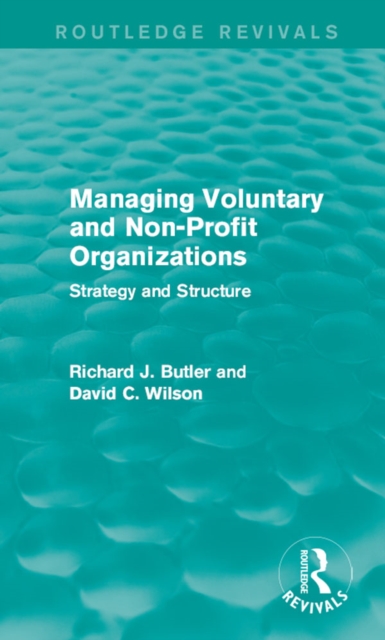 Managing Voluntary and Non-Profit Organizations : Strategy and Structure, EPUB eBook