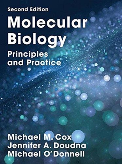 Molecular Biology : Principles and Practice, Hardback Book