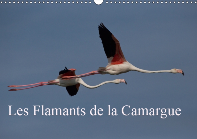 Les Flamants de la Camargue 2019 : Scenes de la vie d'une espece fascinante., Calendar Book
