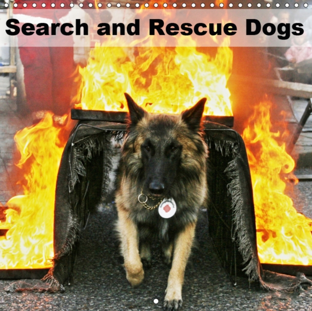 Search and Rescue Dogs 2019 : Search and Rescue Dogs at work, Calendar Book