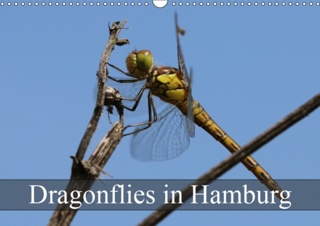 Dragonflies in Hamburg 2019 : Fantastic Dragonflies in Hamburg, Calendar Book