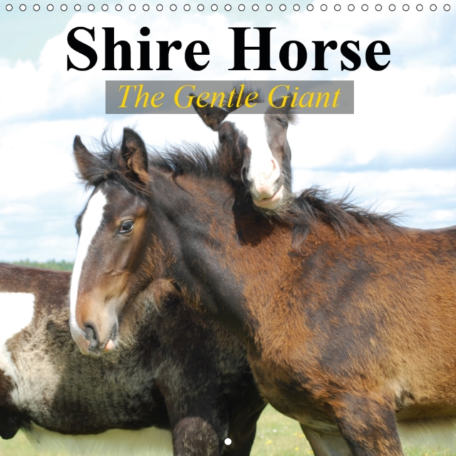 Shire Horse - The gentle giant 2019 : The world's greatest horses, Calendar Book
