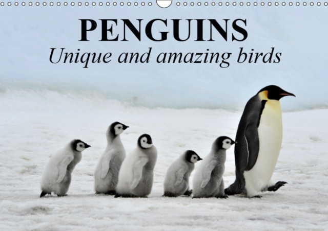 Penguins Unique and amazing birds 2019 : The most recognizable and beloved birds in the world, Calendar Book