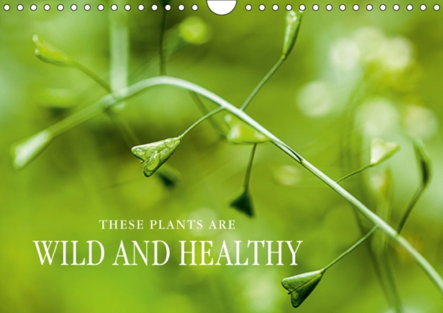 THESE  PLANTS ARE WILD AND HEALTHY 2019 : Edible wild plants: fascinating, healthy and rich in species., Calendar Book