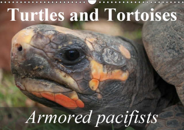 Turtles and Tortoises - Armored pacifists 2019 : Oldest and most original of all reptiles, Calendar Book