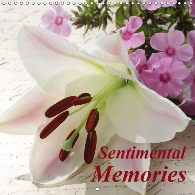 Sentimental Memories 2019 : These still life images tell touching stories, Calendar Book