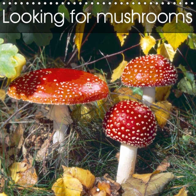 Looking for mushrooms 2019 : Decorative mushrooms, Calendar Book
