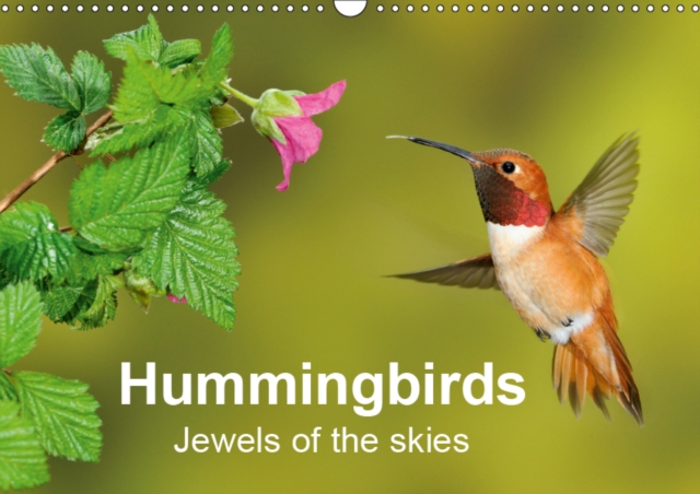 Hummingbirds Jewels of the skies 2019 : Fantastic photographs of Hummingbirds in flight, Calendar Book