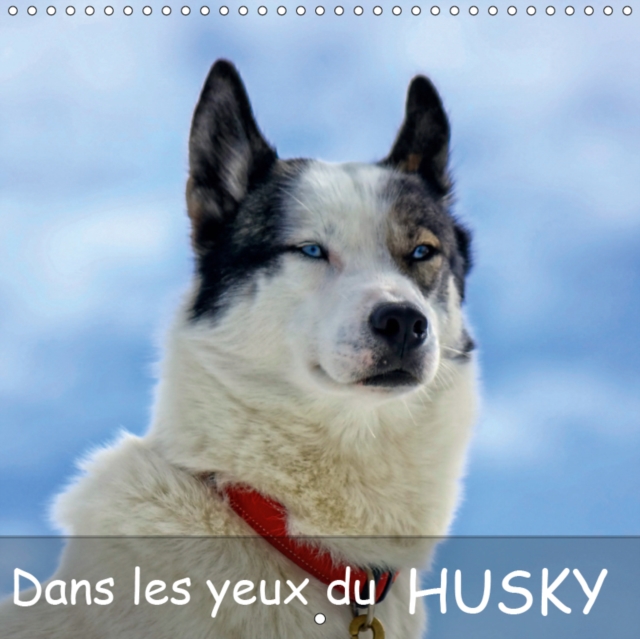 Dans les yeux du husky 2019 : Le chien husky aime courir, le voici pendant et apres une course de traineaux., Calendar Book