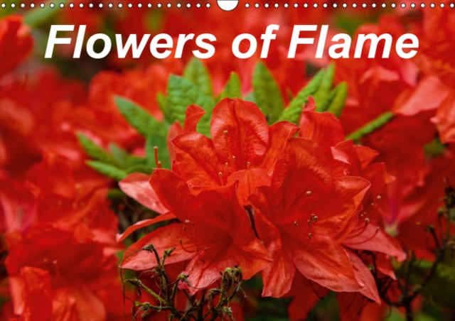 Flowers of Flame 2019 : Images of magnificent Azalea and Rhododendron flowers, Calendar Book
