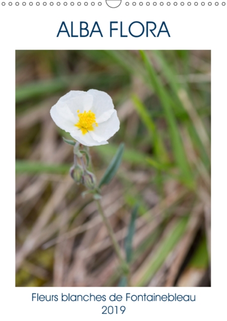Alba flora - Fleurs blanches de Fontainebleau 2019 : Une fleur sauvage blanche pour chaque mois de l'annee, Calendar Book